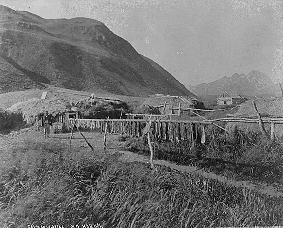 Alutiiq village kodiak island bears