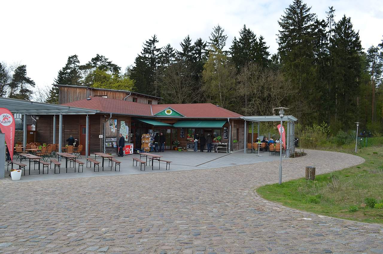 Bärenwald Müritz brown bear sanctuary