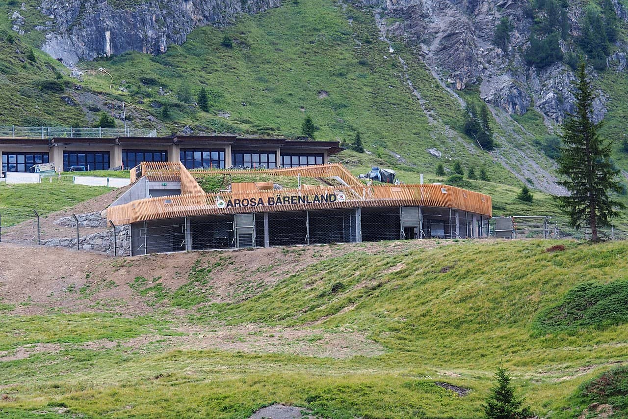 arosa brown bear sanctuary switzerland