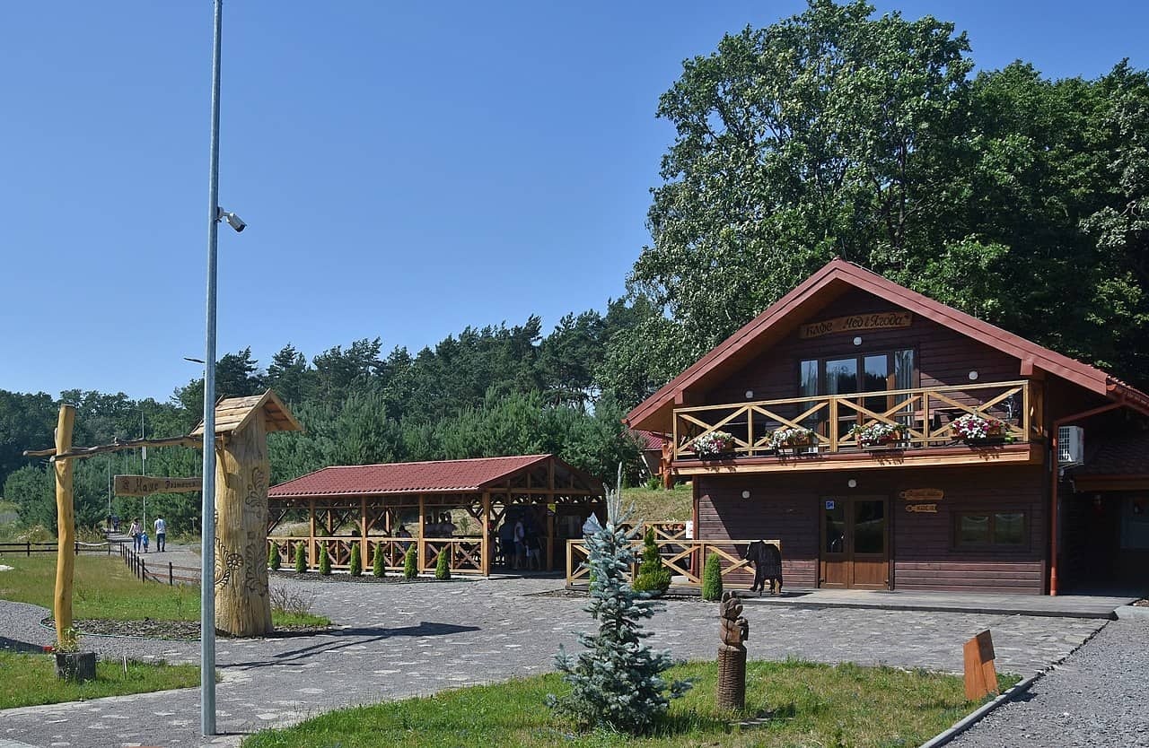 domazhyr brown bear sanctuary ukraine