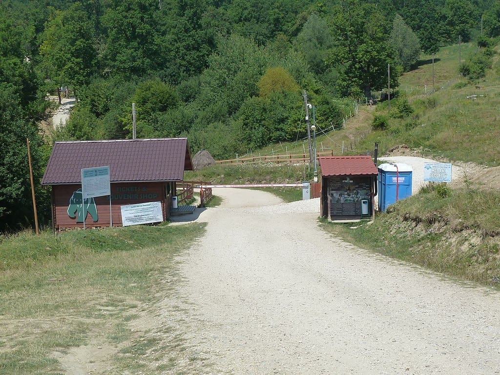 libearty brown bear sanctuary zarnesti