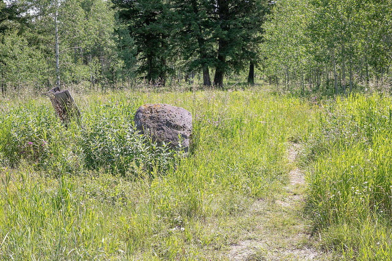 Yellowstone bear hotspots - Gneiss Creek.