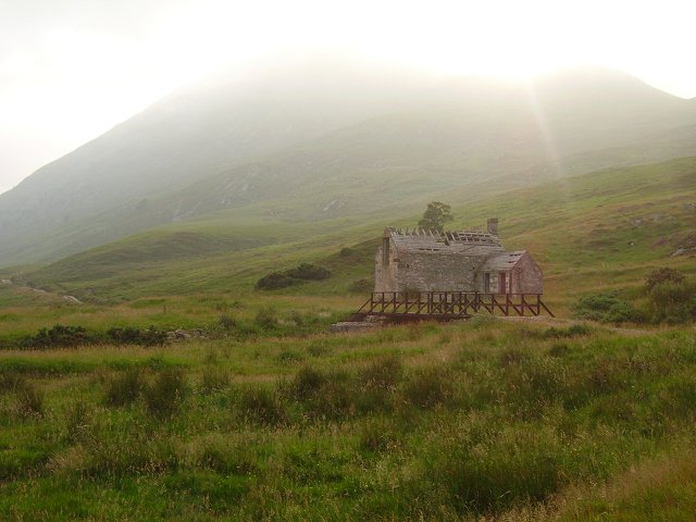 Alladale scotland brown bear rewilding