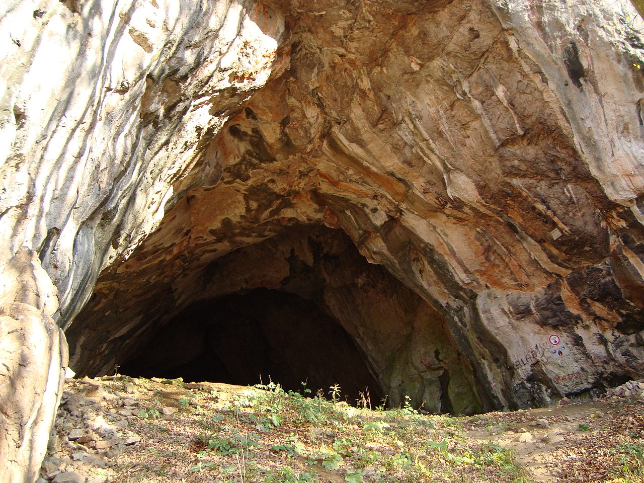 Drachenhöhle cave bear hotspot austria