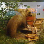 Problembär jj1 bruno bear museum