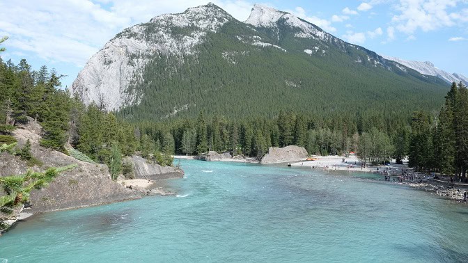 banff-the-boss-grizzly-bear