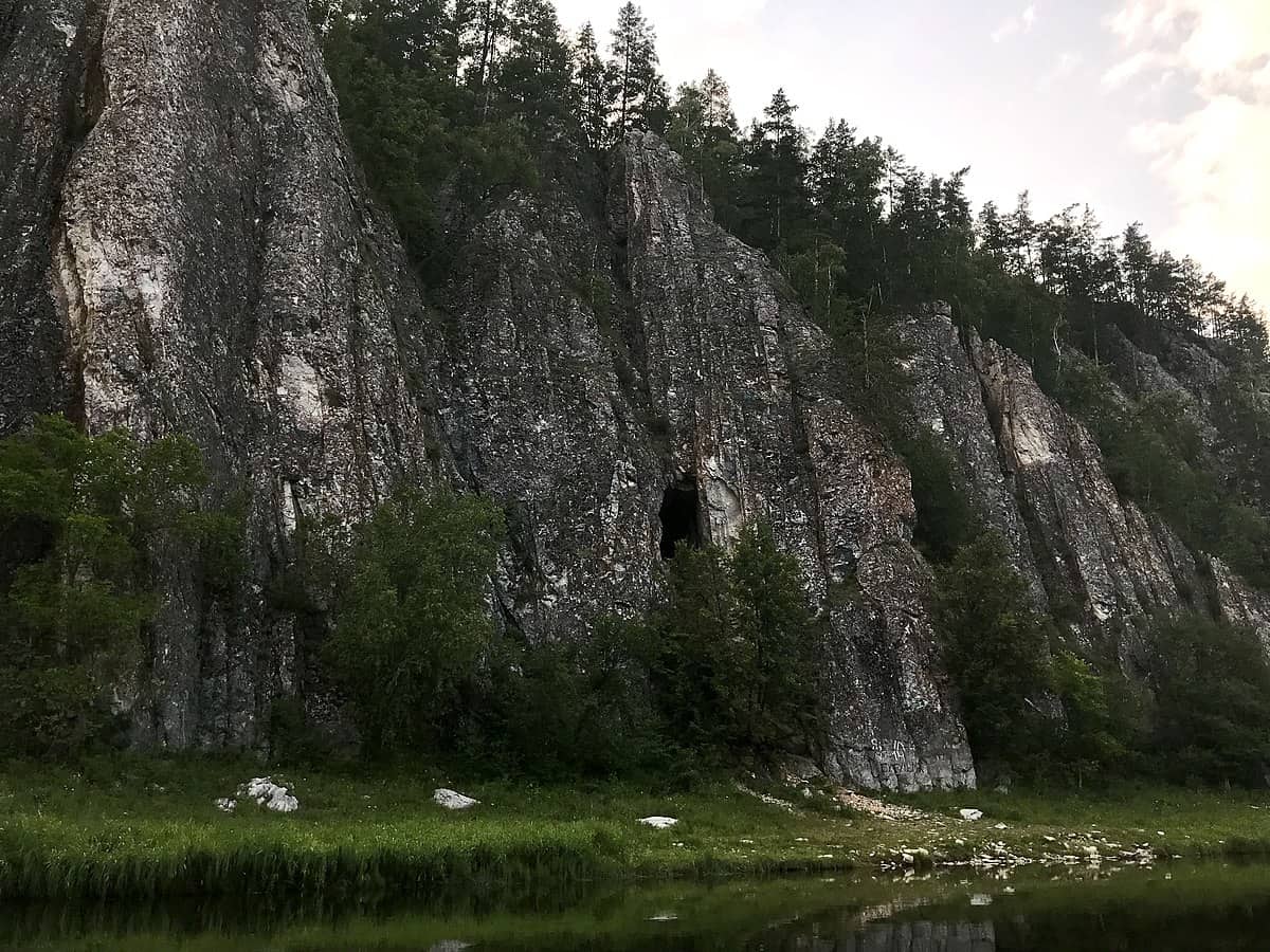 brown bear attack cliff russia