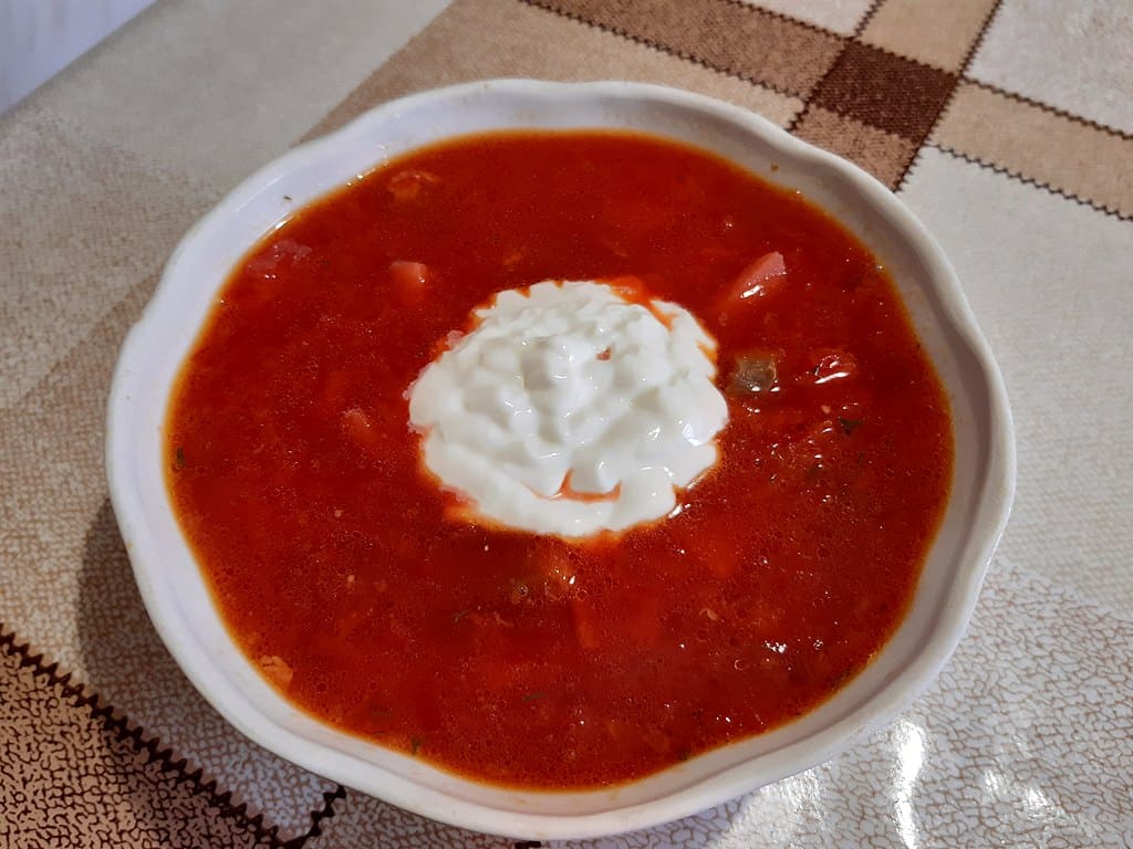 brown bear steals borscht soup