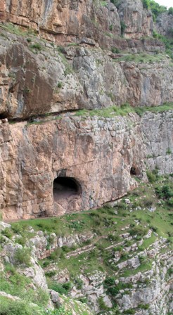 darband cave iran bear fossils
