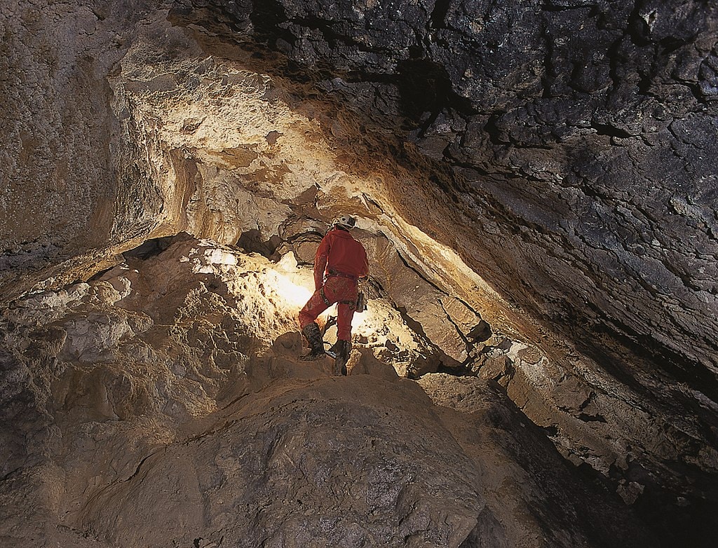 grotte du Bichon brown bear