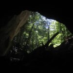 living mummy siberia bear cave