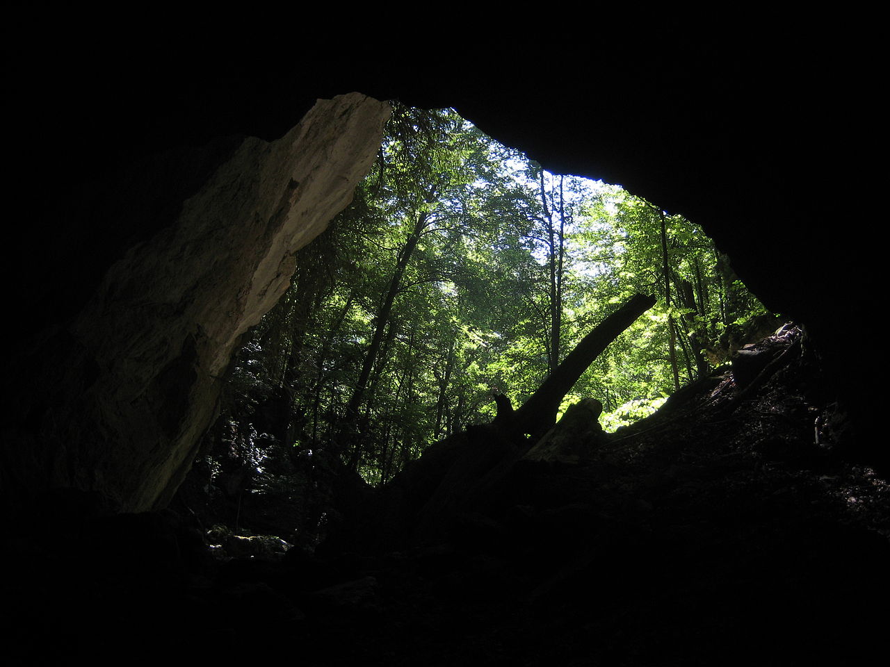 living mummy siberia bear cave