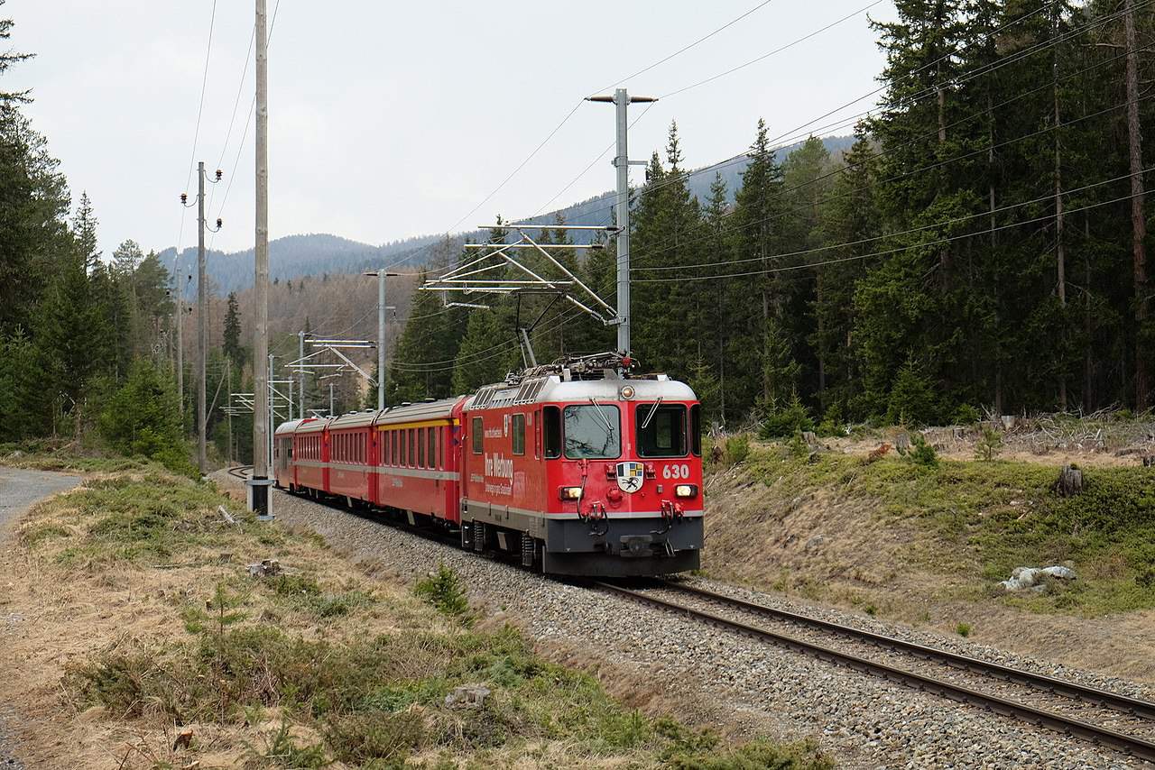 m13 bear hit by train