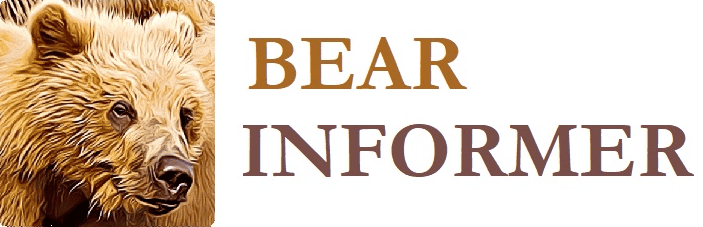 Bear Informer